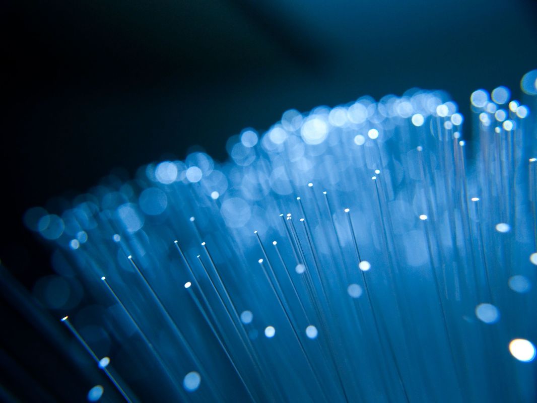 Muchos cables delgados de fibra optica